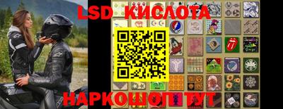 крисы Усть-Илимск