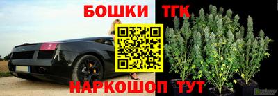 крисы Усть-Илимск