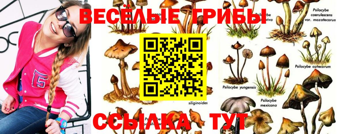 продажа наркотиков  Галлюциногенные грибы мицелий  Вход с VPN  Слободской 